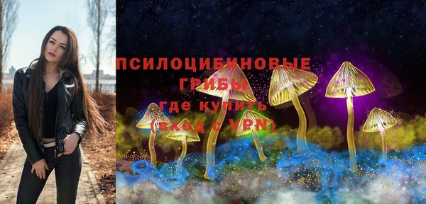 гидропоника Аша