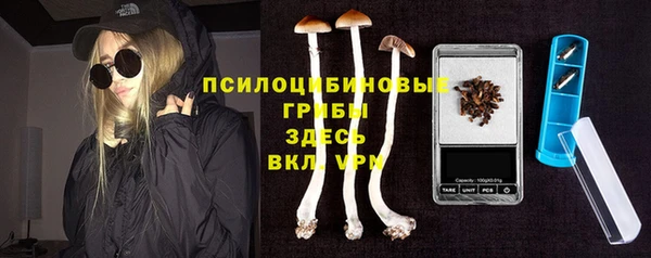 spice Дмитровск